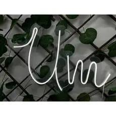 Painel Led Neon Personalizado UM para decoração p/Decoração 40x25