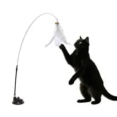 Brinquedo Varinha Gato Passaro Com Ventosa Fixa No Chao
