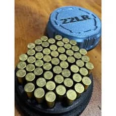 Porta  22LR para 55 unidades