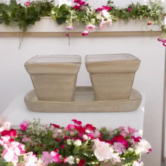 kit 2 Vasos com Bandeja Prato Para Arranjo - Cachepot De Cerâmica Para Plantas Suculentas Violetas Jardim