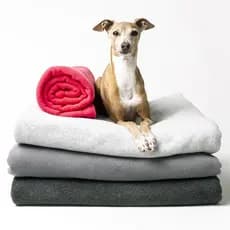 Kit Com 10 Cobertor Mata para Cachorro Ou Gato Manta Pet Cores Lisa Variedades
