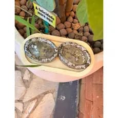 Kit Spa Lavanda Artesanal com Sal Grosso | 2 Sabonetes Naturais + Bandeja Personalizada em Pinus | Presente Especial