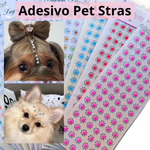 Cartela de adesivo pet stras , pet shop, banho e tosa, adesivo de testa para cachorro/cadela