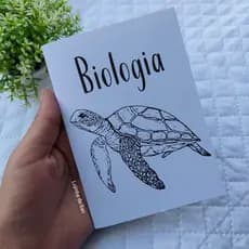 kit de caderno para anotações biologia - caderno de Biologia - caderno de profissões faculdade luapo *12