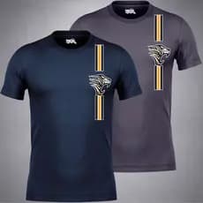 Kit 2 Camisetas Masculinas Dry Fit Manga Curta e Raglan Academia Treino Verão Proteção UV