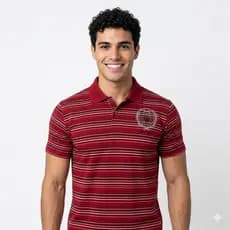 Polo Masculina Listrada e com Brilho