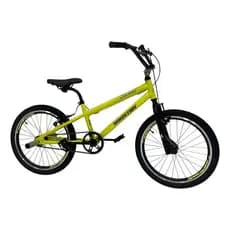 Bicicleta Infantil Aro 20 Bmx Houston Furion V-brake Aço