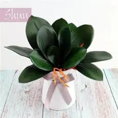 Folha De Orquidea com Raizes Arranjos e Decorações Artificiais Lindas Flores - ZH800407