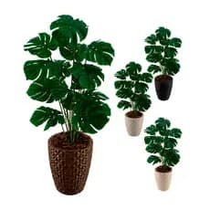 Costela De Adão Artifical + Vaso Polietileno Completo Cores Acompanha Casca Pinus