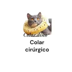 colar cirúrgico cone abajur para gatos e cão de pequeno porte colar elizabetano