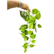 Pendente Folhagem Jiboia Perfeita Planta artificial para Decoração Planta Artificial Pendente