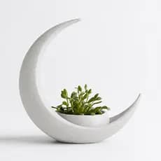 Decoração Lua Crescente com Vaso Elíptico para Plantas Design Moderno Minimalista para Sala Quarto Escritório