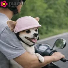 Capacete De Segurança Para Cães MARTIN , Ajustável Animais De Estimação Com Tapete De Esponja Locomotiva Gatos Resistent