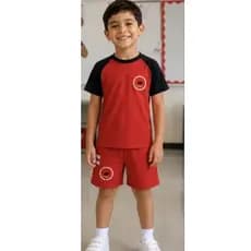 Bermuda Maple Bear Fundamental
