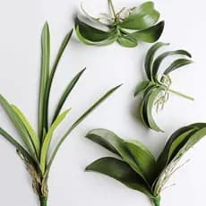 Plantas Artificiais folha de orquidea  selicone e plastico decoracao de casa  decoração de plantas