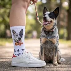 Meia Personalizada com Foto do seu Pet Meia Cano Alto Meia Poliéster com  Estampa Exclusiva Meia Pet Peronalizada