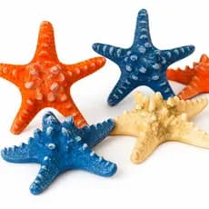 Estrela Do Mar Grande Resina Pendurar Na Parede Decoração 15 cm