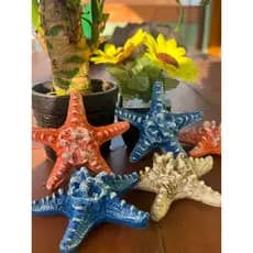 Kit com 5 Estrelas do Mar Miniatura – Toque Náutico e Natural para a Sua Decoração