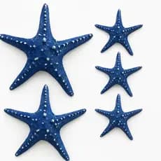 Estrela do Mar de parede Azul em Resina Decorado ,Decoração casa praia Ambientes luxo