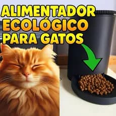 Alimentador Ecológico Automático para Pets – Gatos e Cachorros