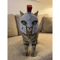 Capacete Romano para Gatos