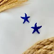 Brinco Estrela do Mar Charmoso em Aço Inox Antialérgico e Acrilico