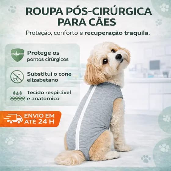Roupa Pós Cirúrgica Para Cachorro Pós Castração – Substitui Cone Protege Pontos