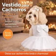 Vestido Pet Femea Encantado Branco Luxo para Casamentos  e Festas