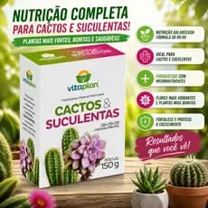 Adubo Fertilizante Para Cactos E Suculentas Vitaplan150g – Crescimento Saudável, Floração e Nutrição