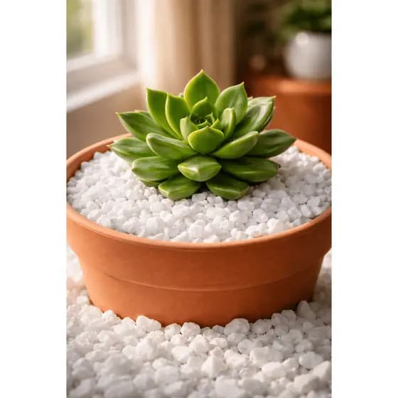 Pedrinhas Granilhas Brancas 4kg Decorativas Para Jardins Vasos E Aquários 1kg 1,5kg 2kg 4kg