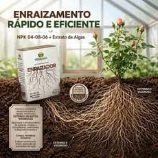 Adubo Fertilizante Enraizador Mineral Misto Caixa 150g Farelado 04-08-06 + Extrato Algas Vitaplan