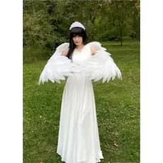 asa de anjo.
