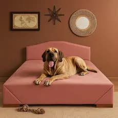 Cama Pet Box Cabeceira Cachorro Gato Porte Grande E Médio Tecido Suede Preto Rosa Azul Cinza Marrom Bege