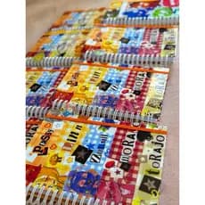 COM ADESIVO Caderno COLEGIAL 10 matérias Mundo Torajo várias capas- grande
