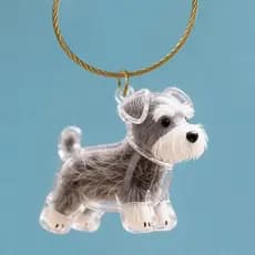 Cápsula De Memória Para Cabelo De Cachorro , Faça Você Mesmo , Presente Amantes De Animais De Estimação , Armazenamento