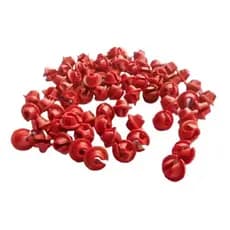 Limpa Raio Plastico Para Bicicleta 72 Peças Super Luxo Cores