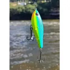 Isca Artificial Strey Lunática 90 9cm 22g