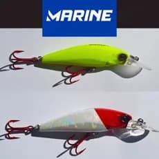Marine Sports Kit 2 Iscas Raptor Shad 7cm 8g | Meia Água Floating com Garatéias VMC e Sistema XLC