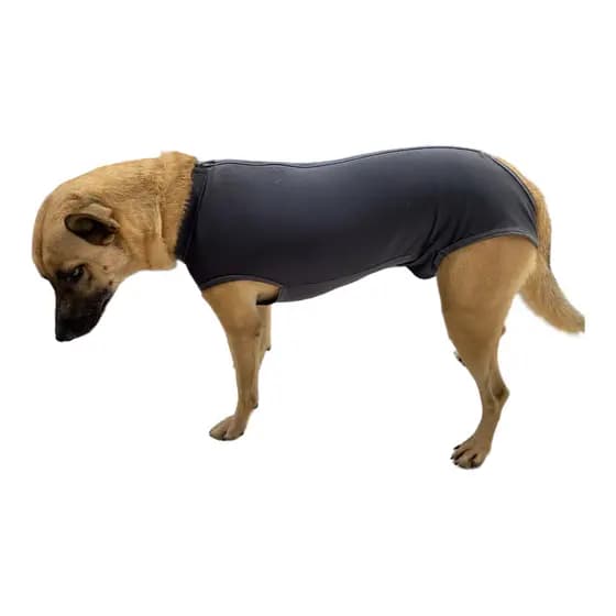 Roupa Macacão pós Cirúrgico para Cachorro macho ou fêmea