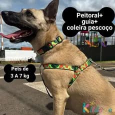 Coleira para cachorro Peitoral Ajustável Para Cachorro Porte Pequeno 3kg a 7kg