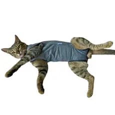 Roupa Castração Macacão pós Cirúrgico Gatos Felinos