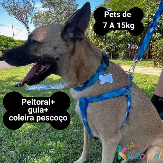 Coleira para cachorro Peitoral Ajustável Para Cachorro Porte Médio Peso 7kg a 15kg