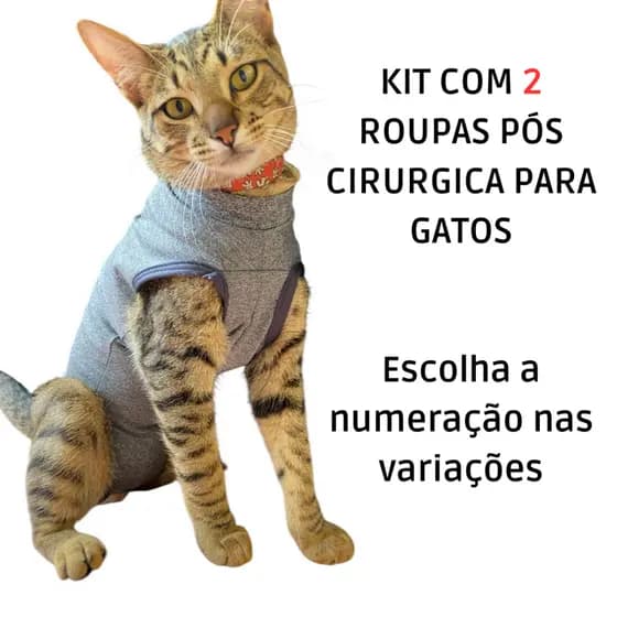 Kit Macacão pós cirúrgico roupa cirúrgica gatos