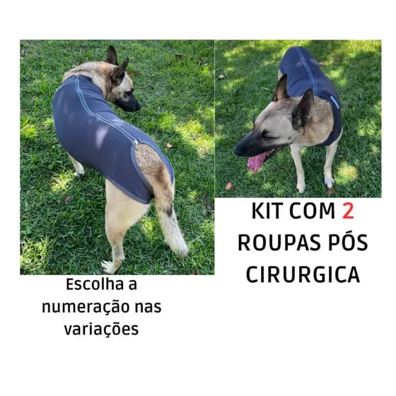 Kit Roupa cirúrgica para cachorro
