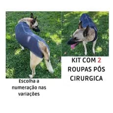 Kit Roupa cirúrgica para cachorro