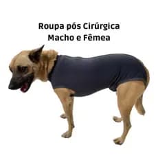 Kildopet Roupa castração e Macacão pós cirúrgica para cachorros