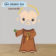 Almofada Naninha Recortada Santinho São Padre Pio