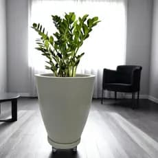 Vaso para Planta Coluna Lisa Polida Moderna 40cm com Rodízio em Gel
