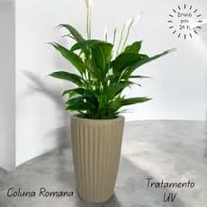 Vaso decorativo para plantas e flores coluna redonda modelo Romana em polietileno