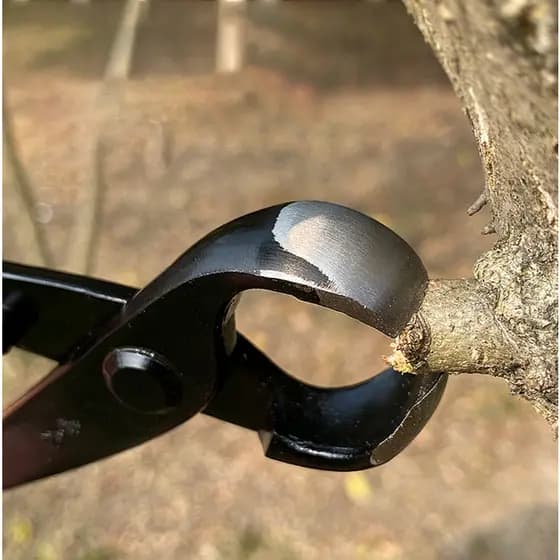 Alicate Bola Para Bonsai Aço Carbono 20 cm Ótima Qualidade
